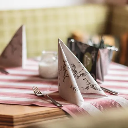 巴曾霍思尔宾馆 3*