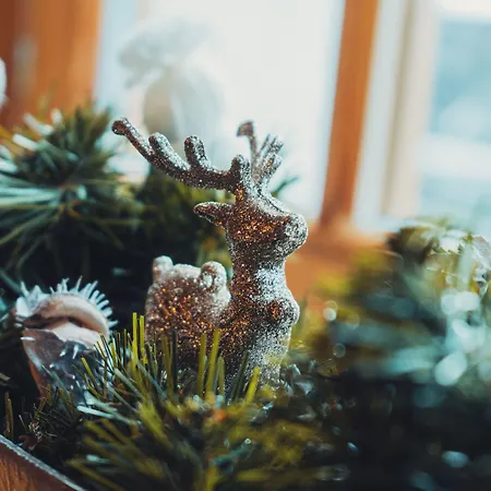 巴曾霍思尔宾馆 宾馆 3*