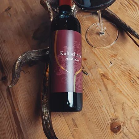 宾馆 巴曾霍思尔宾馆 蒂罗尔-泽费尔德